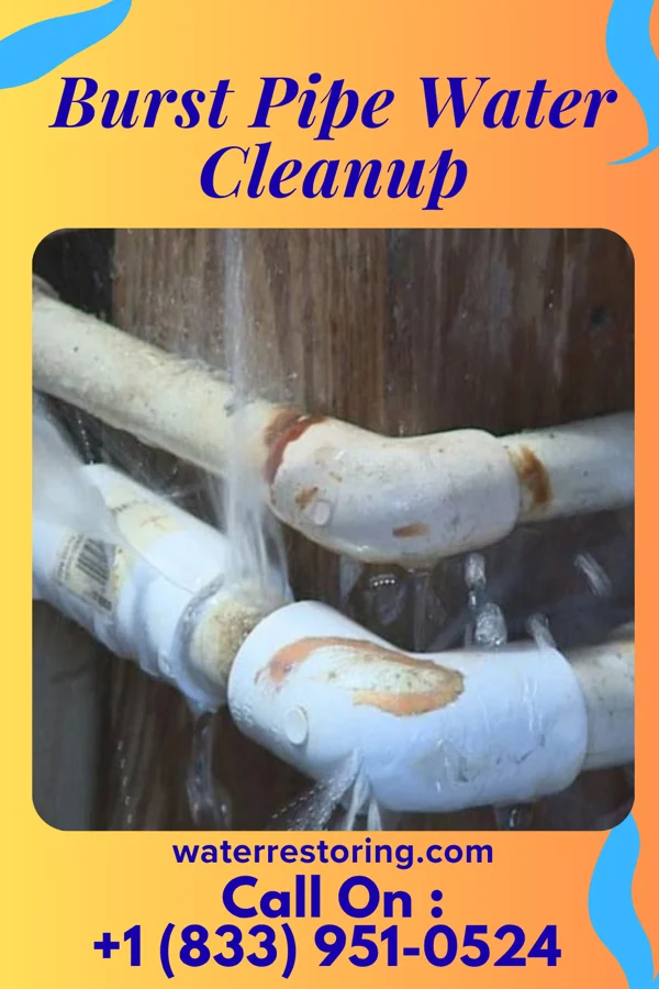 Burst Pipe Water Cleanup in Kline, SC