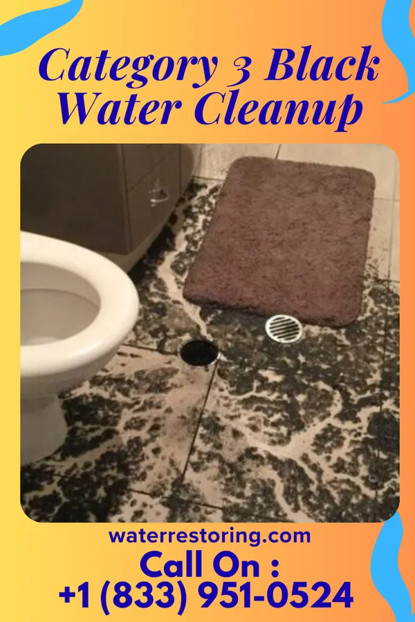 Category 3 Black Water Cleanup in Kline, SC