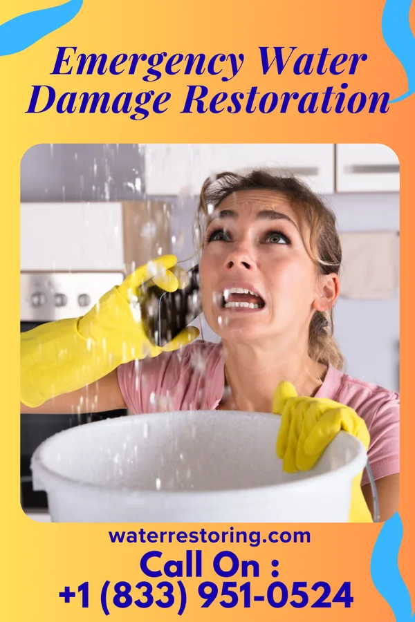 Emergency Water Damage Restoration in Kline, SC