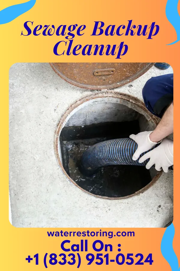 Sewage Backup Cleanup in Kline, SC